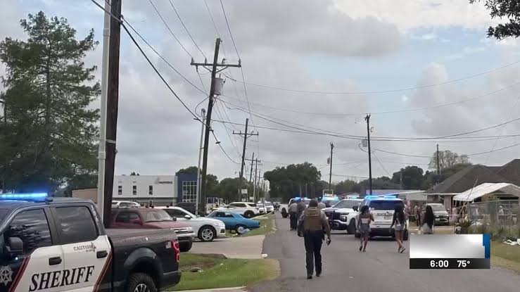 LSP: Drunk driver arrested after hitting parade crowd at La. Lao New Year Festival