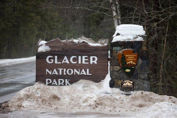Hiker Killed by Bear at Glacier National Park, Officials Say