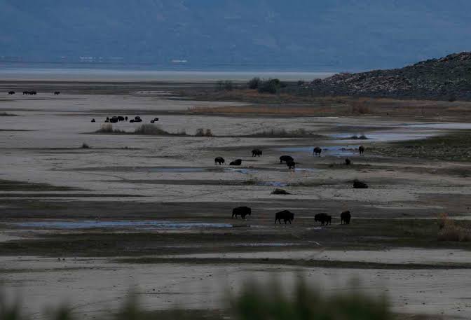 Why Trump wants to spend $1 billion on Great Salt Lake