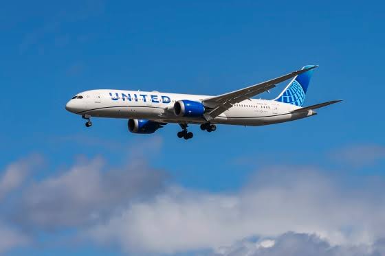 United Airlines passenger allegedly assaulted flight attendant, tried to get into cockpit