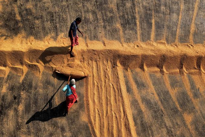 The global food crisis unleashed by the war