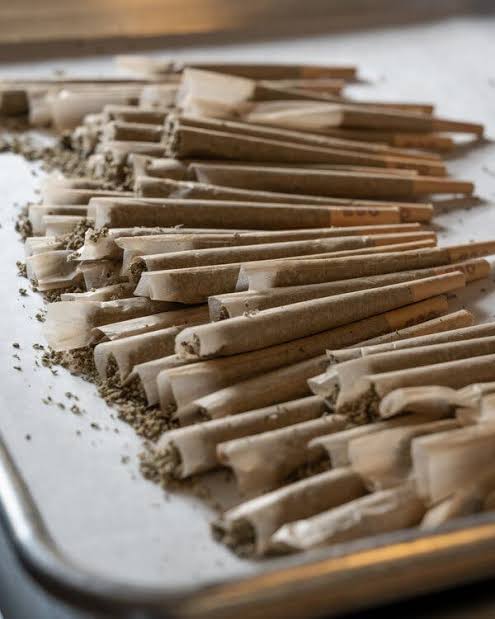 Trump Administration Reclassifies Medical Marijuana, Loosening Restrictions