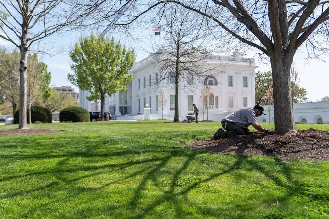 White House budget proposal silent on civilian federal pay raise