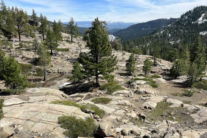 California in for ‘ugly summer’ amid one of the worst snowpacks on record